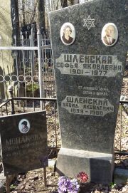 Шленский Давид Яковлевич, Москва, Востряковское кладбище
